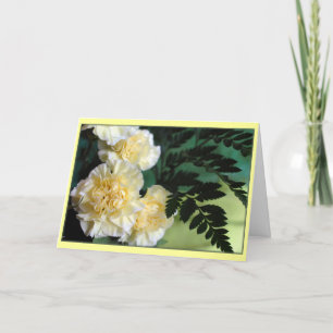 "Carnations" Card