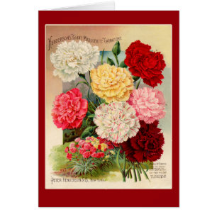 Carnations Vintage Seed Packet Art on Cards