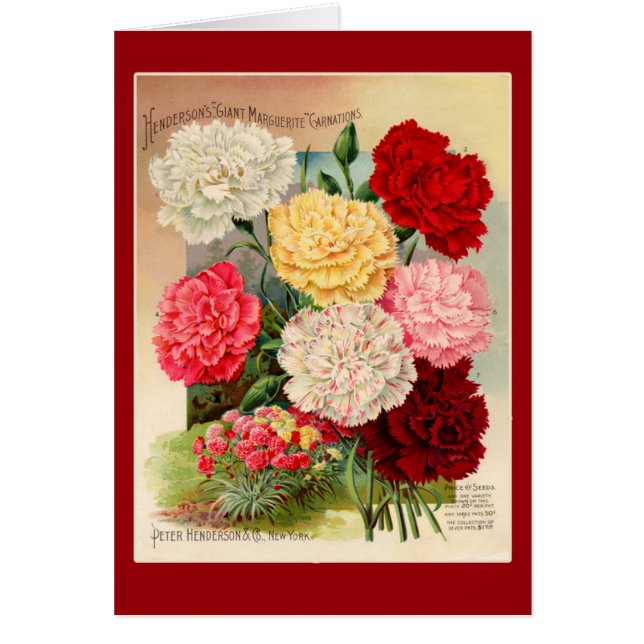 Carnations Vintage Seed Packet Art on Cards (Front)