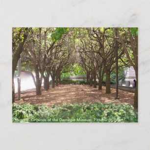 Carnegie Museum Postcard