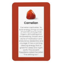 Carnelian Crystal Meaning Jewellery Magnet Sign