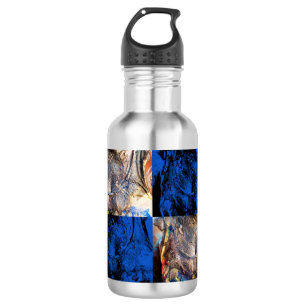 carnival chest 532 ml water bottle