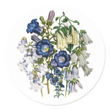 Carnival of flowers