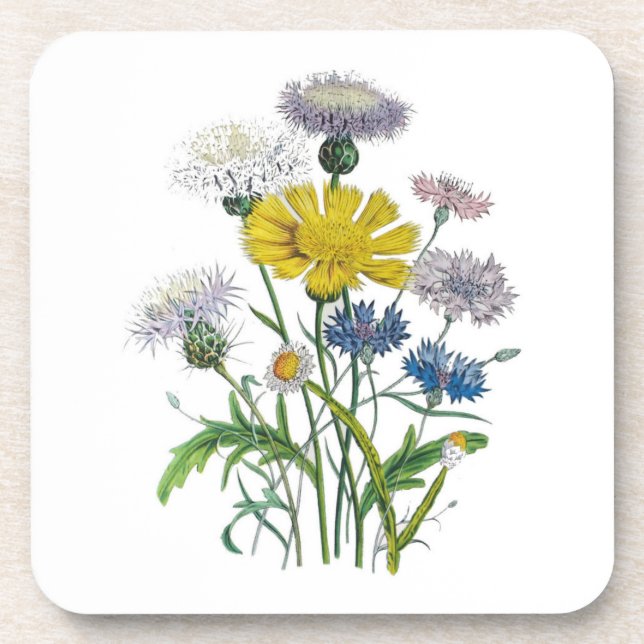 Carnival of flowers coaster (Front)