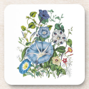 Carnival of flowers coaster