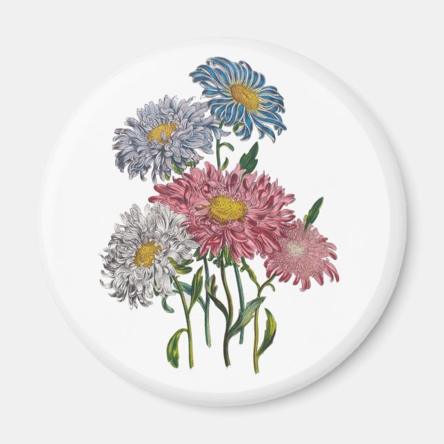 Carnival of flowers magnet (Front)