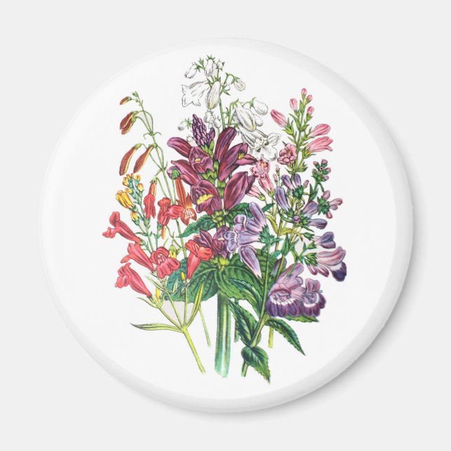 Carnival of flowers magnet (Front)