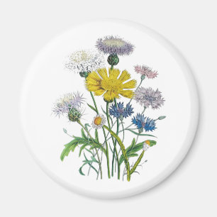 Carnival of flowers magnet