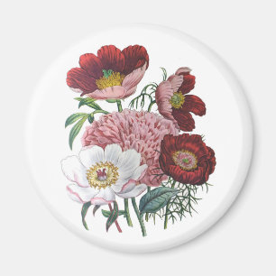 Carnival of flowers magnet