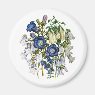 Carnival of flowers magnet