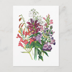 Carnival of flowers postcard