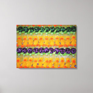 Carnival Pick-a-Prize Plush Toy Photo Canvas Print