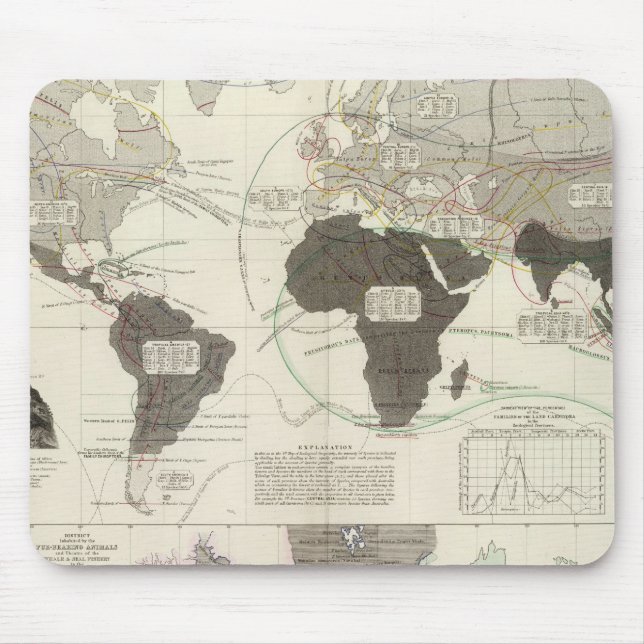 Carnivora Mouse Mat (Front)