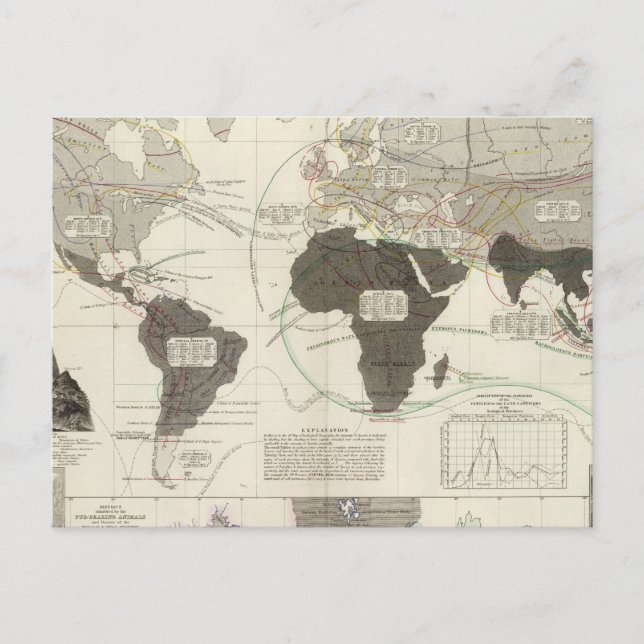 Carnivora Postcard (Front)