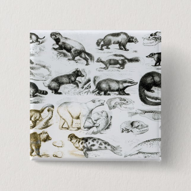 Carnivorous Animals 15 Cm Square Badge (Front)