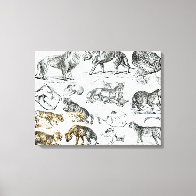 Carnivorous Animals Canvas Print (Front)