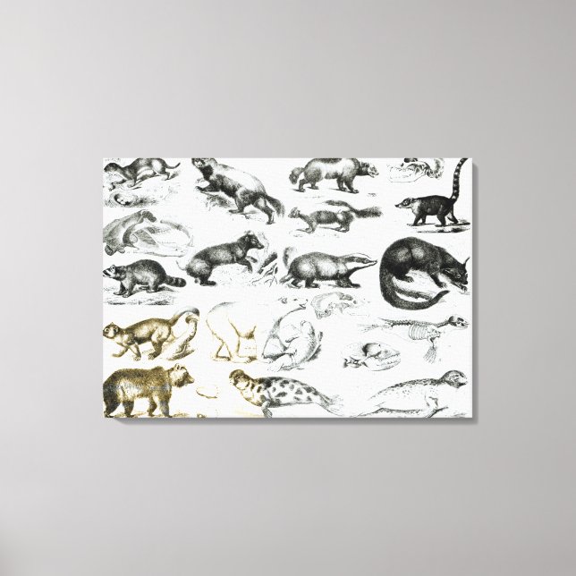 Carnivorous Animals Canvas Print (Front)