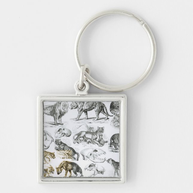Carnivorous Animals Key Ring (Front)