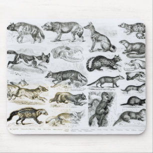 Carnivorous Animals Mouse Mat