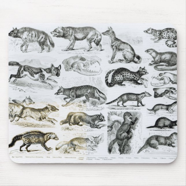 Carnivorous Animals Mouse Mat (Front)
