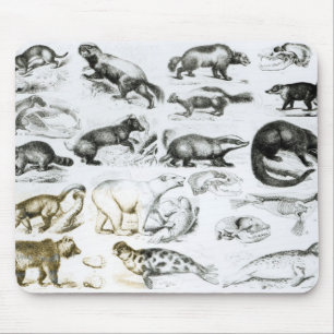 Carnivorous Animals Mouse Mat