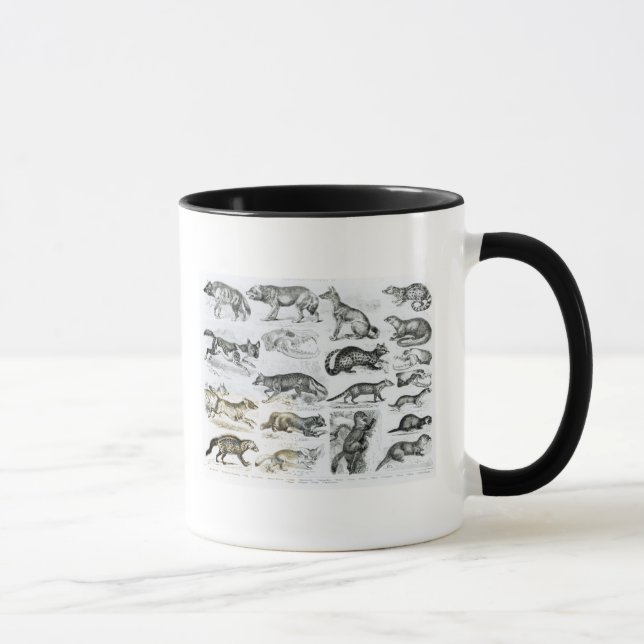 Carnivorous Animals Mug (Right)