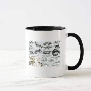 Carnivorous Animals Mug