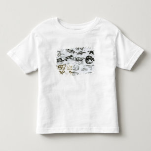 Carnivorous Animals Toddler T-Shirt