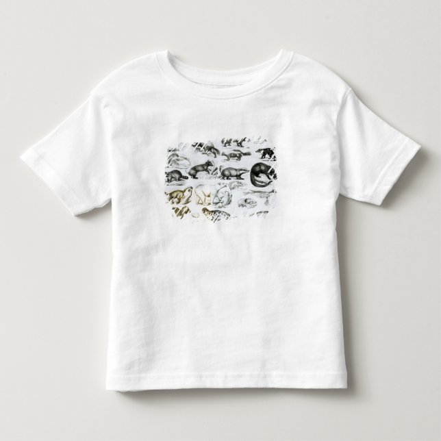 Carnivorous Animals Toddler T-Shirt (Front)