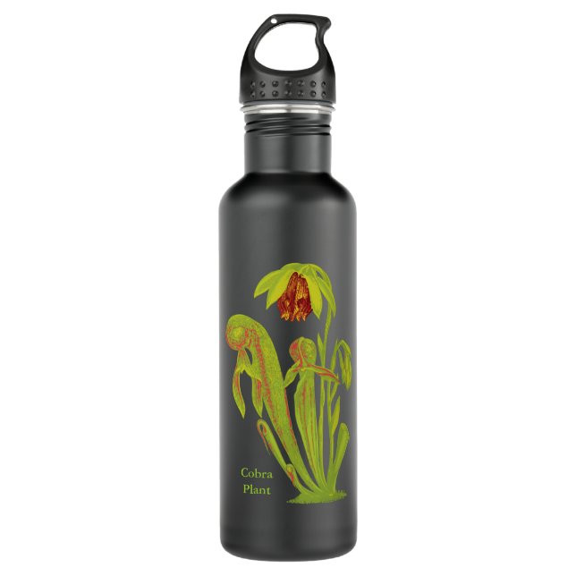 Carnivorous Cobra Plant 710 Ml Water Bottle (Front)