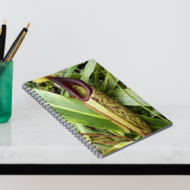 Carnivorous Pitcher Plant Photo Notebook (In Situ)