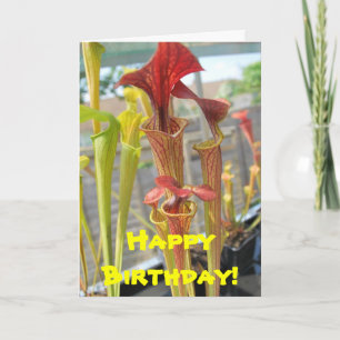 Carnivorous Plant Birthday Card