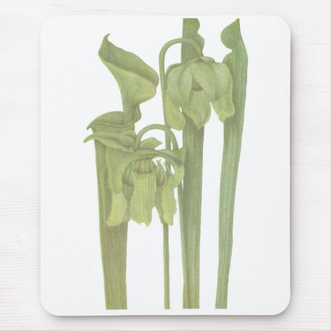 Carnivorous Plant - Sarracenia flava Mouse Mat (Front)