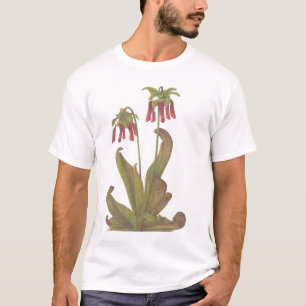 Carnivorous Plant - Sarracenia psittacina T-Shirt