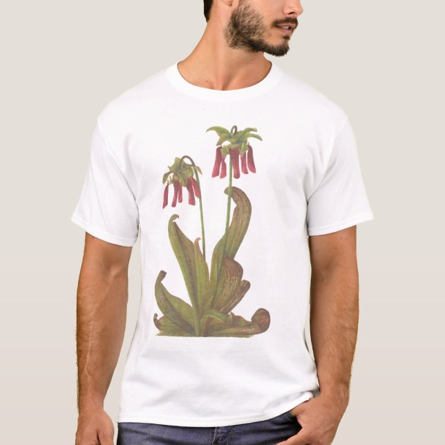 Carnivorous Plant - Sarracenia psittacina T-Shirt (Front)