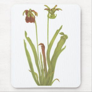 Carnivorous Plant - Sarracenia rubra Mouse Mat