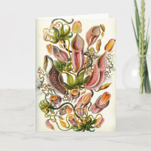 Carnivorous Plants Card
