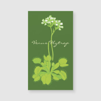 Carnivorous Venus Flytrap