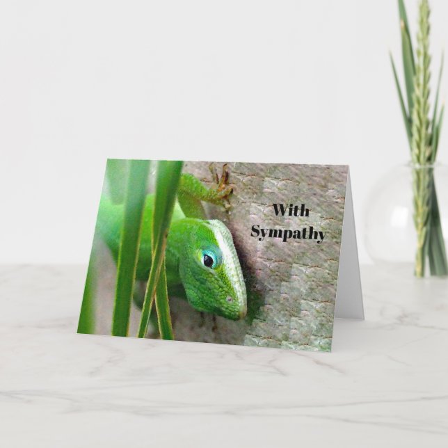 Carolina Anole Green Lizard Photo  Sympathy Card (Front)