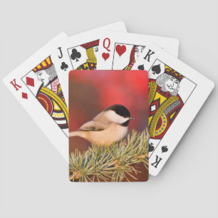 Carolina Chickadee in Blue Atlas Cedar Playing Cards