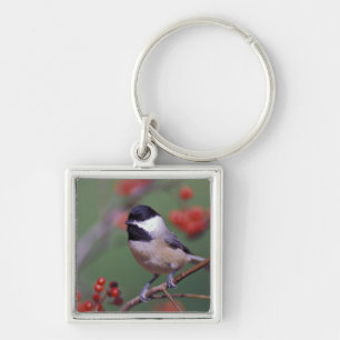 Carolina Chickadee Key Ring