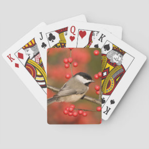 Carolina Chickadee on Common Winterberry bush Playing Cards