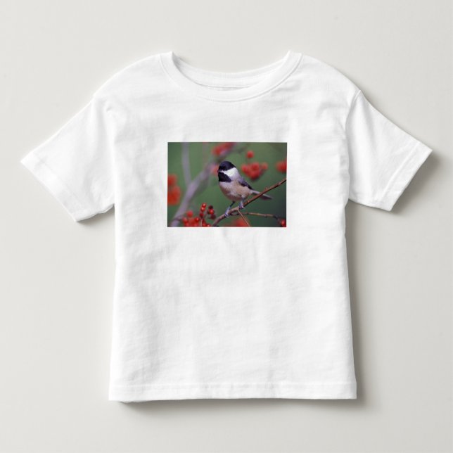 Carolina Chickadee Toddler T-Shirt (Front)