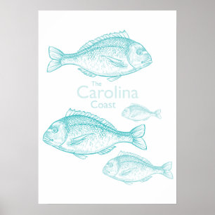 Carolina Coast Vintage Turquoise Saltwater Fish Poster