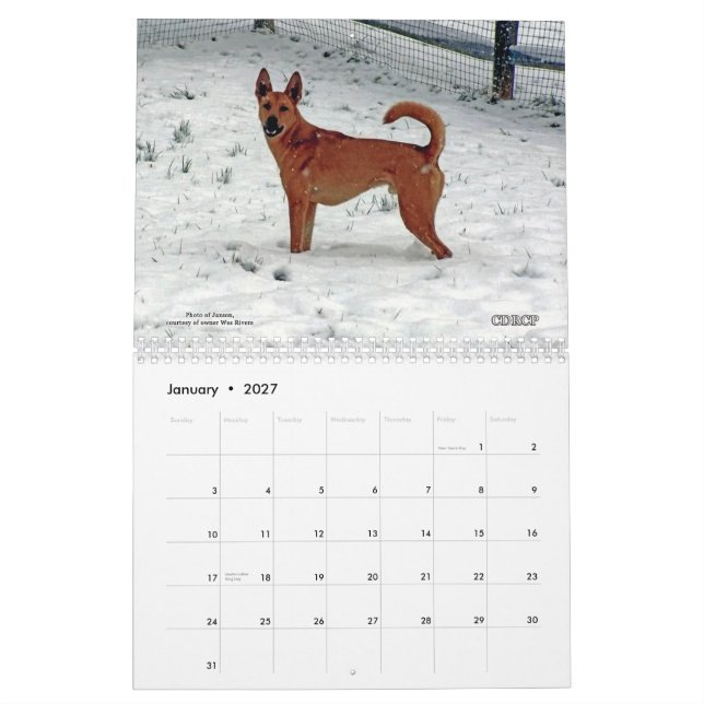 Carolina Dog Calendar 2013 (Jan 2027)