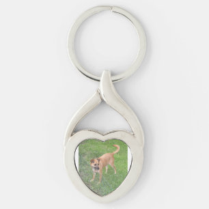 carolina dog full 2 key ring