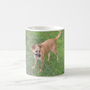 carolina dog full 2.png coffee mug