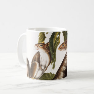 Carolina Grey Squirrel (Sciurus Carolinensis) Coffee Mug