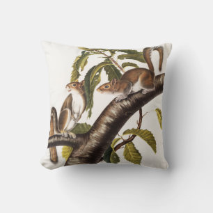 Carolina Grey Squirrel (Sciurus Carolinensis) Cushion