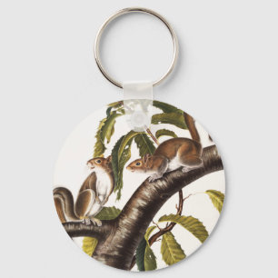 Carolina Grey Squirrel (Sciurus Carolinensis) Key Ring